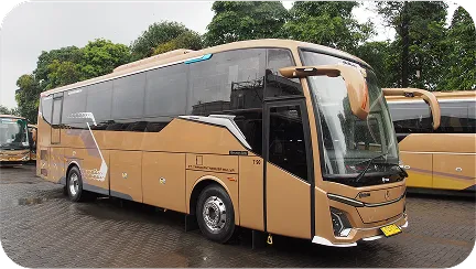 Big Bus Legrest + Toilet (30 Seat)